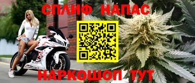 ГАЛЛЮЦИНОГЕННЫЕ ГРИБЫ Ипатово